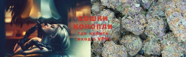 PSILOCYBIN Белокуриха