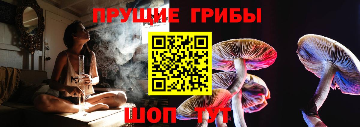 Псилоцибиновые грибы ЛСД  Вход с VPN  Галлюциногенные грибы GOLDEN TEACHER  Кунгур 